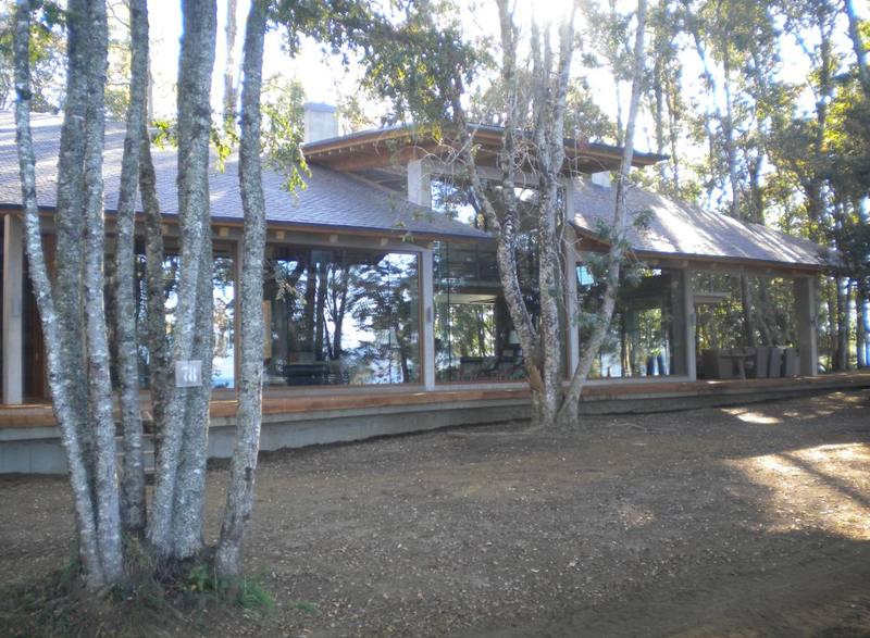 Lago Panguipulli — Galería vidriada entre troncos de árboles