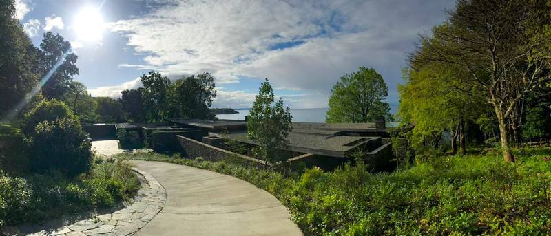 Lago Ranco II — Camino de acceso y paisaje del lago