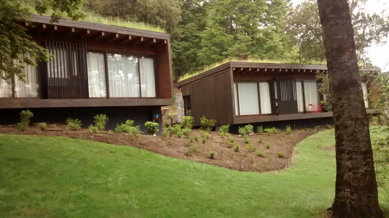 Lago Todos Los Santos II — Volúmenes de madera con cubierta vegetal
